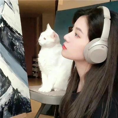新女友 在线观看封面